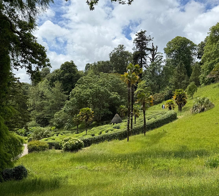 The wonderful gardens of Glendurgan