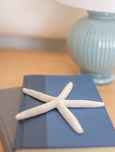 Close up of a bedside table with a contemporary lamp and decorative coastal accessories.